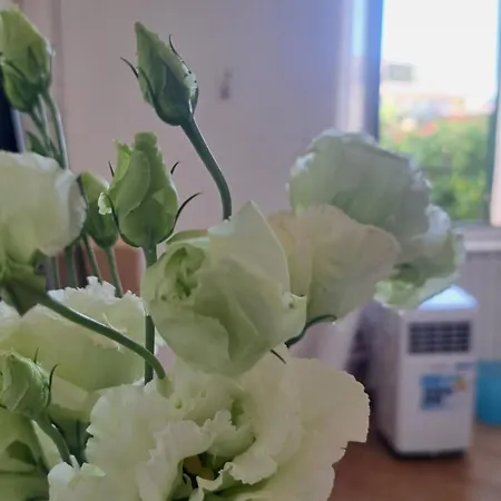 Casa Fiori - Zona , 7 Min Dalle Spiagge *