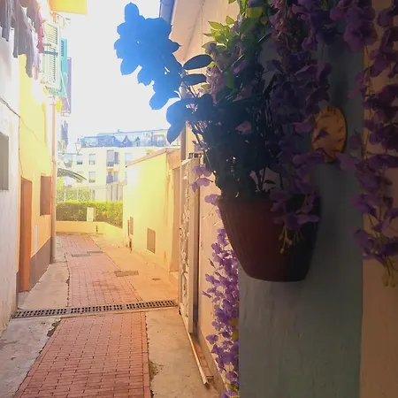 公寓 Casa Fiori - Zona , 7 Min Dalle Spiagge *